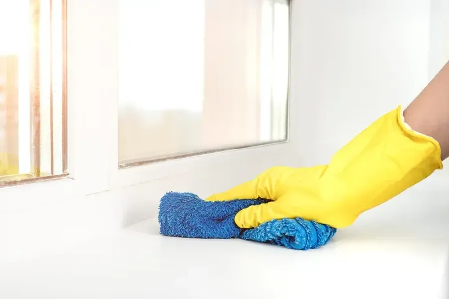 The Role Of Deep Cleaning In Preventing Pest Infestations Reseda, CA The Role Of Deep Cleaning In Preventing Pest Infestations Reseda, CA