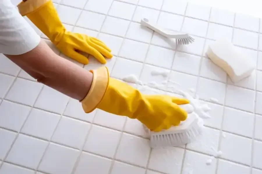The Role Of Deep Cleaning In Preventing Pest Infestations in Reseda, CA The Role Of Deep Cleaning In Preventing Pest Infestations in Reseda, CA